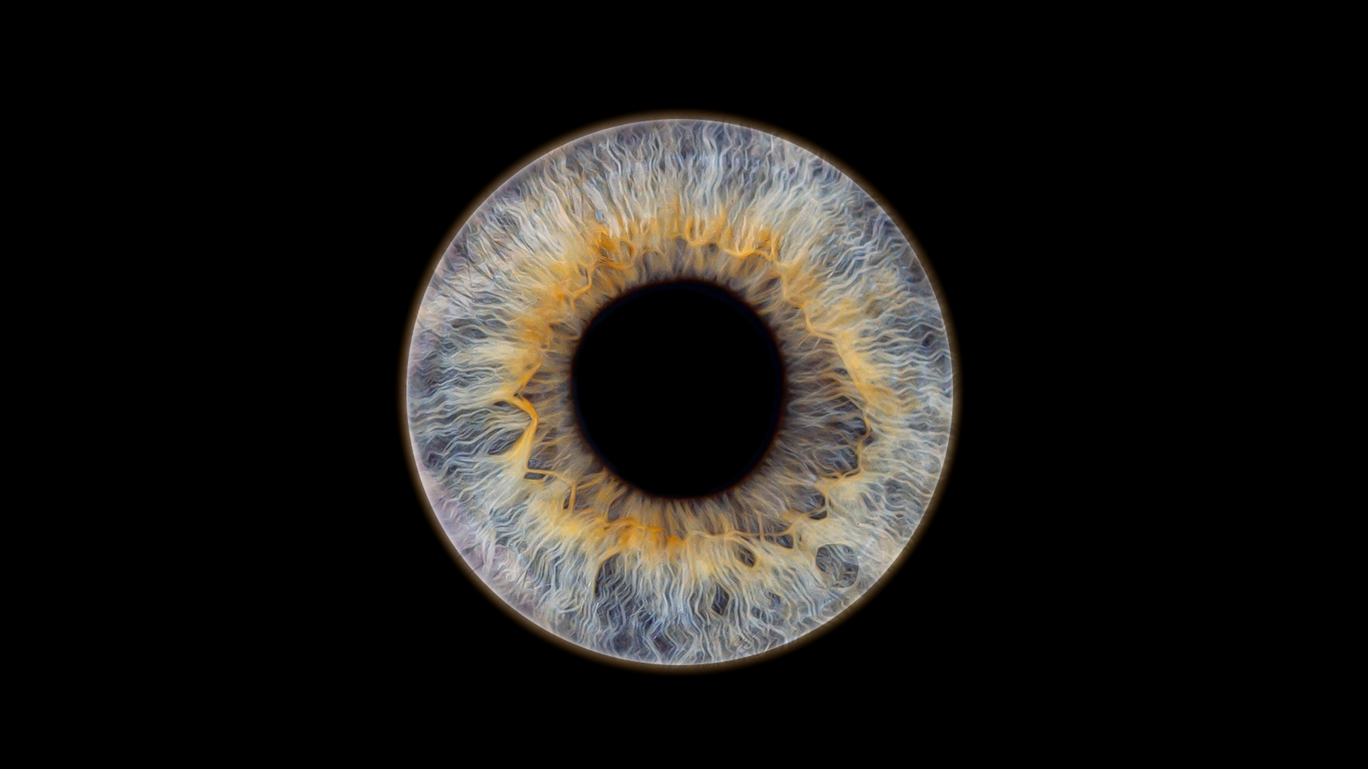 joko-iris-fotografija-slider-1