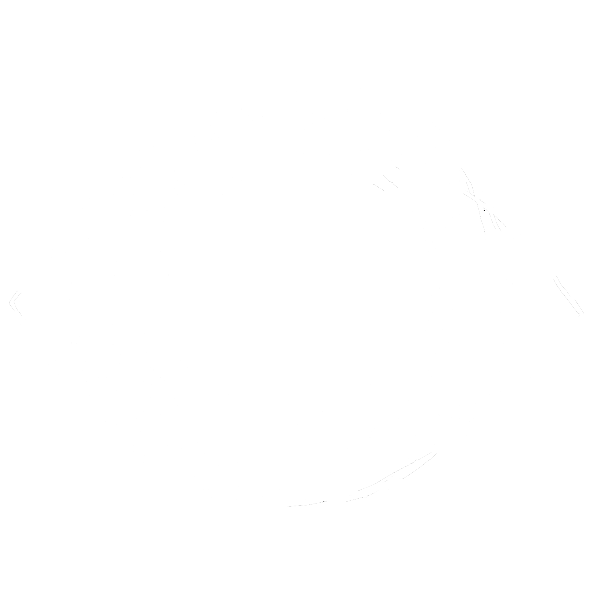 logo-joko-iris-studio-novi-sad